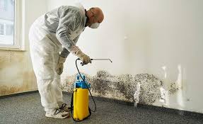 Harlan, IA Mold Prevention & Removal  Company